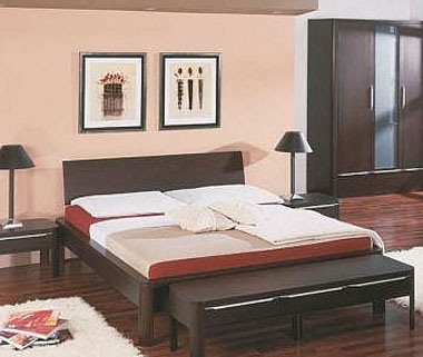 Modern 2 bed frames