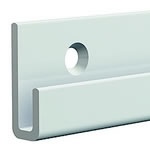 rail 100kg