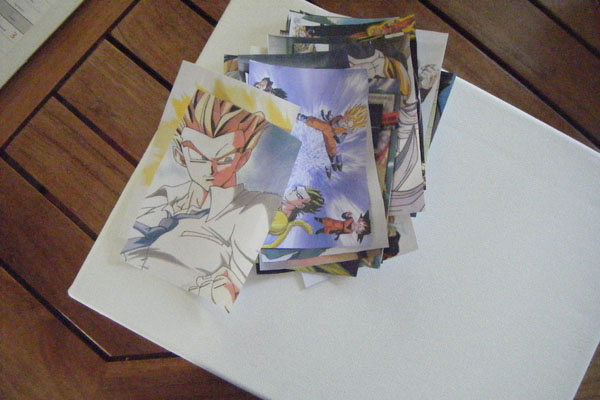 Images of Dragon Ball Z transfer on canvas