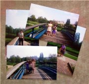 Photos