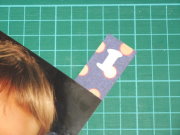 photo4