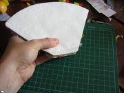 photo7