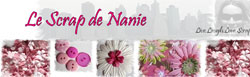 nanie300